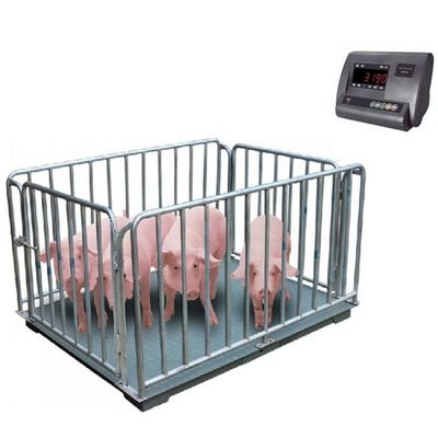 Balanza electrónica de pisos para animales 1M 2t Balanza de cerdo 3t de ovejas y vacas Precisión 0,5kg